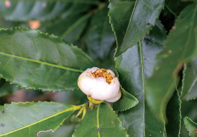 176283876158964.png 图片.png42.png