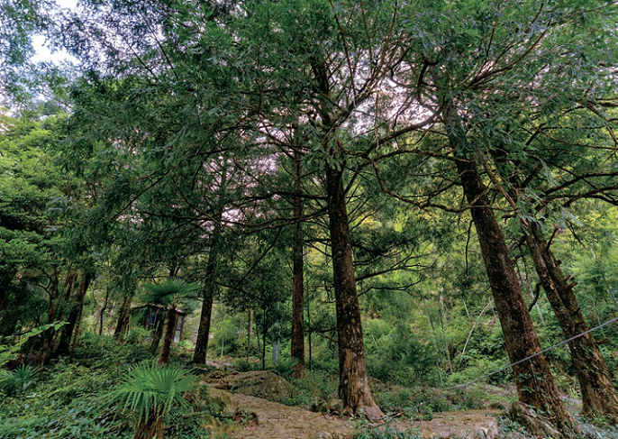 176285413335645.png 图片.png46.png