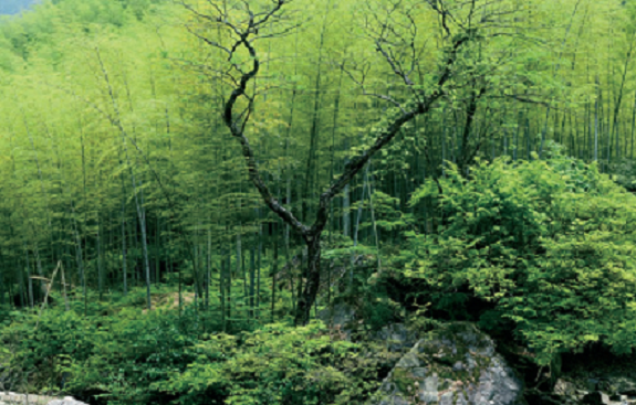 176287376219806.png 图片.png48.png