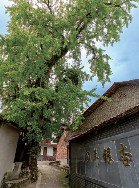 176320109942862.png 图片55.png