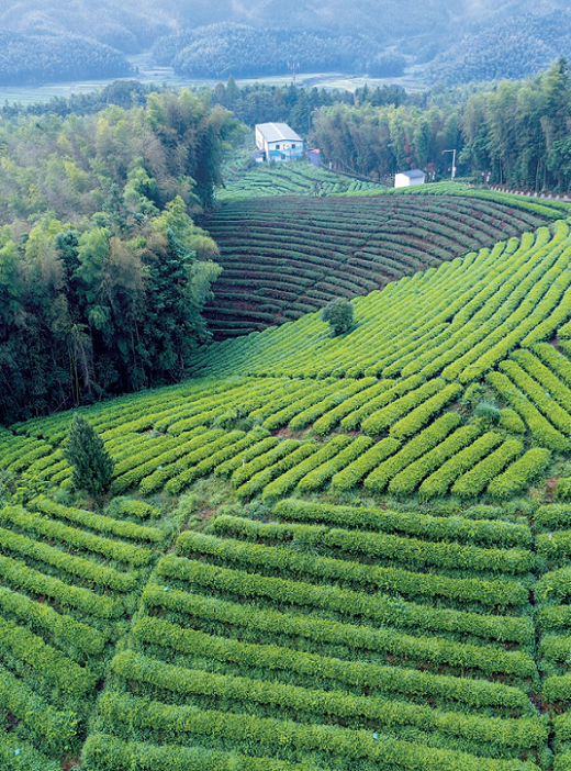 176364957782150.png 图片80.png