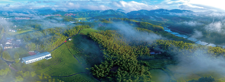 176364982023565.png 图片84.png