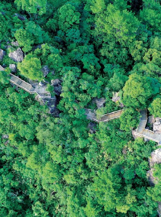 176458199466212.png 图片.png06.png