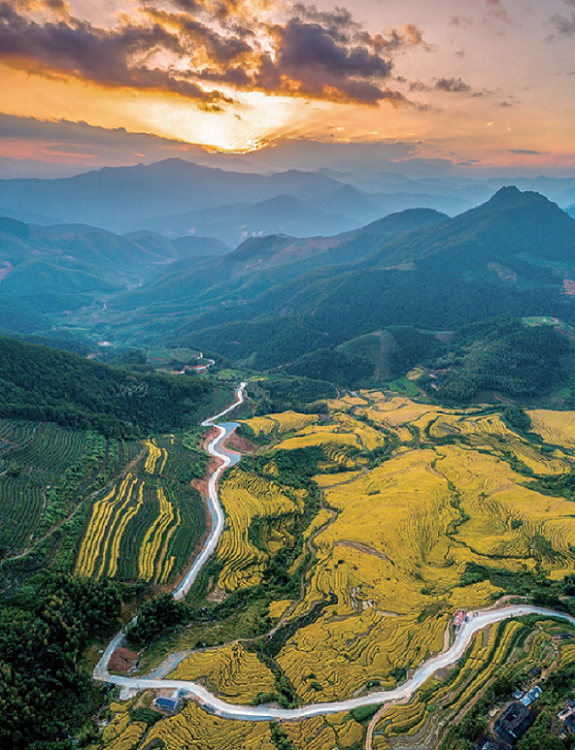 176943856650237.png 图片61.png