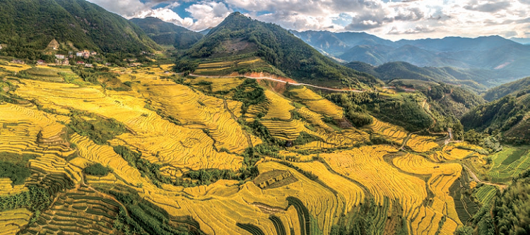 176943859052345.png 图片62.png