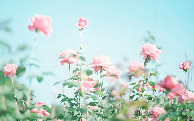 177056502273470.png 微信图片_2026-02-08_233248_819.png