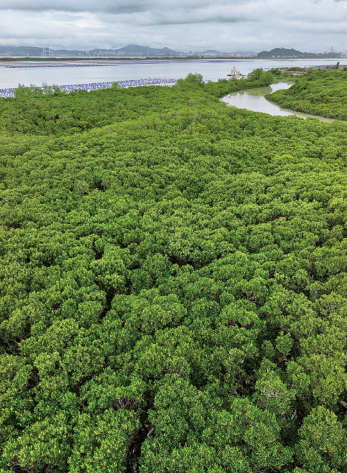 177117216081618.png 图片.png37.png