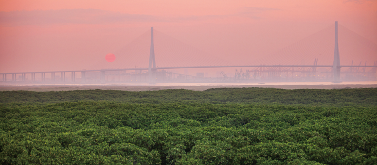 177117221950943.png 图片.png38.png