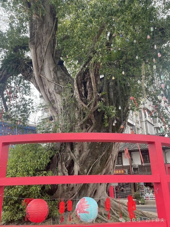 微信图片_20260405000726_545_3.jpg