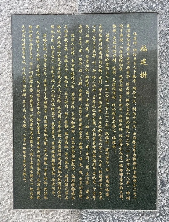 微信图片_20260405000725_544_3.jpg