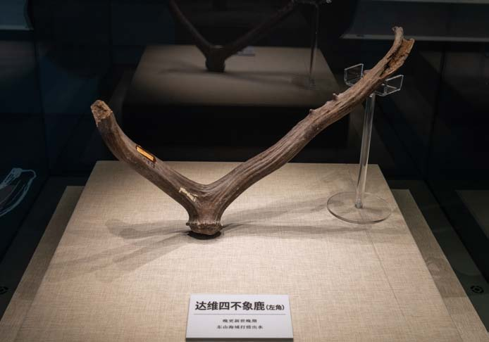 178237842759708.png 图片.png35.png